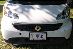 life 42