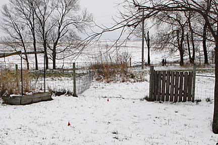 snow by house
