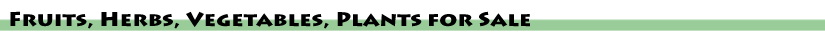 Events Page