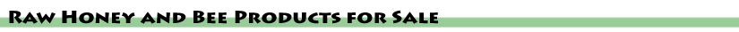 Events Page