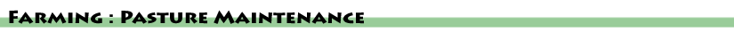 Events Page