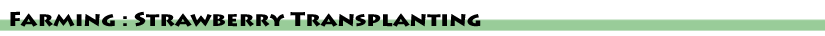 Events Page